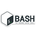 Bash Scripting programming South Africa